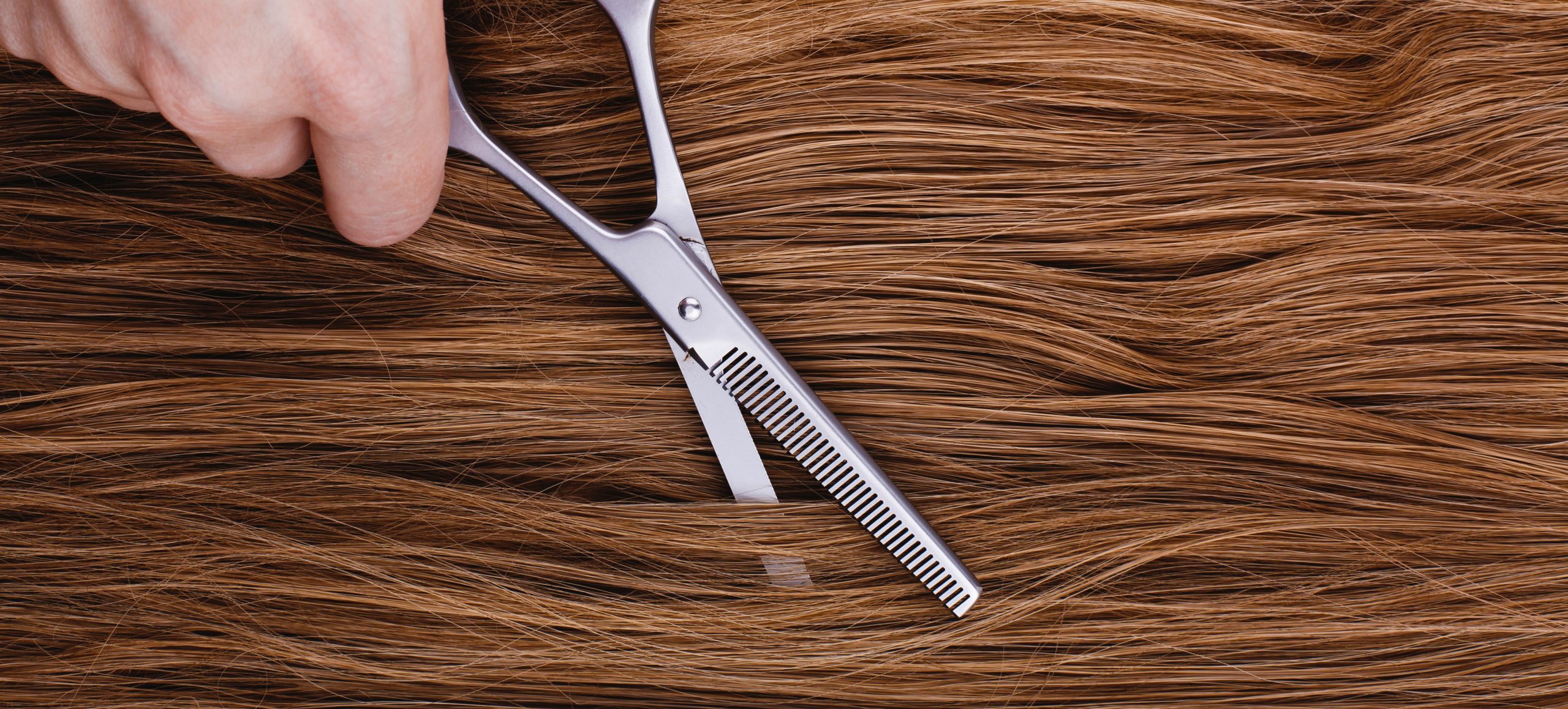 رنگ مو در غرب تهران