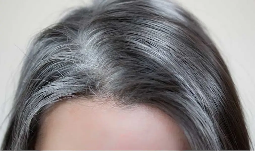 چگونه موی سفید را رنگ کنیم؟ 2 رنگ کردن موی سفید زنانه